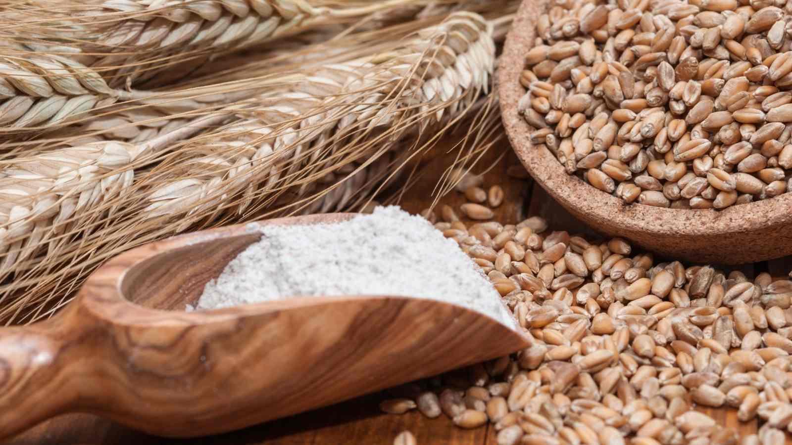 Pirinç, Bulgur, Makarna, Un ve Pastacılık Ürünleri
